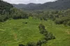 54 Camilleris Road, Mount Charlton, Qld 4741-Image