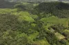 54 Camilleris Road, Mount Charlton, Qld 4741-Image