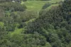 54 Camilleris Road, Mount Charlton, Qld 4741-Image