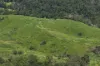 54 Camilleris Road, Mount Charlton, Qld 4741-Image