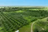 54 Studt Road, Mareeba QLD 4880-Image