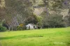 545 Ti Tree Creek Road, Yea, Vic 3717-Image