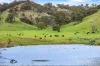 545 Ti Tree Creek Road, Yea, Vic 3717-Image