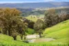 545 Ti Tree Creek Road, Yea, Vic 3717-Image