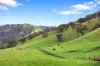 545 Ti Tree Creek Road, Yea, Vic 3717-Image