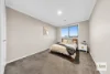 55 Glenrose Boulevard, Clyde North, Vic 3978-Image
