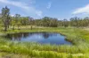 55 Hermitage Road, Belford, NSW 2335-Image