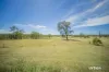 55 Hermitage Road, Belford, NSW 2335-Image