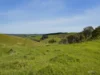 555 Mirboo - Yarragon Road, Allambee Reserve, Vic 3871-Image