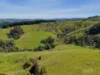555 Mirboo - Yarragon Road, Allambee Reserve, Vic 3871-Image