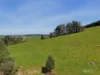 555 Mirboo - Yarragon Road, Allambee Reserve, Vic 3871-Image