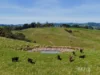 555 Mirboo - Yarragon Road, Allambee Reserve, Vic 3871-Image
