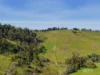 555 Mirboo - Yarragon Road, Allambee Reserve, Vic 3871-Image