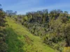555 Mirboo - Yarragon Road, Allambee Reserve, Vic 3871-Image