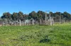 56 Mount Scrub Road, Willow Creek, SA 5211-Image
