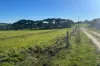 56 Mount Scrub Road, Willow Creek, SA 5211-Image