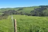 56 Mount Scrub Road, Willow Creek, SA 5211-Image