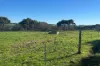 56 Mount Scrub Road, Willow Creek, SA 5211-Image