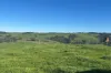 56 Mount Scrub Road, Willow Creek, SA 5211-Image