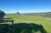 56 Mount Scrub Road, Willow Creek, SA 5211-Image