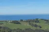 56 Mount Scrub Road, Willow Creek, SA 5211-Image