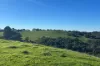 56 Mount Scrub Road, Willow Creek, SA 5211-Image