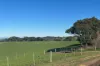 56 Mount Scrub Road, Willow Creek, SA 5211-Image