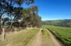 56 Mount Scrub Road, Willow Creek, SA 5211-Image