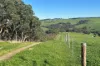 56 Mount Scrub Road, Willow Creek, SA 5211-Image