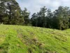 56 Smarts Road, Mount Hicks, Tas 7325-Image