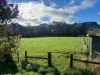 56 Smarts Road, Mount Hicks, Tas 7325-Image