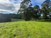 56 Smarts Road, Mount Hicks, Tas 7325-Image