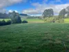 56 Smarts Road, Mount Hicks, Tas 7325-Image