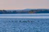561 Rawdon Island Road, Rawdon Island, NSW 2446-Image