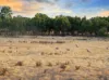 562 Balmoral Road, Cockatoo Valley SA 5351-Image