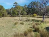 564 Combienbar Road, Club Terrace, Vic 3889-Image