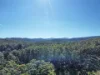 564 Combienbar Road, Club Terrace, Vic 3889-Image