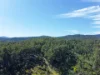 564 Combienbar Road, Club Terrace, Vic 3889-Image