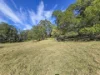564 Combienbar Road, Club Terrace, Vic 3889-Image