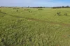 564 ORALLO ROAD, Roma, Qld 4455