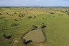 564 ORALLO ROAD, Roma, Qld 4455-Image