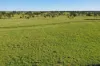 564 ORALLO ROAD, Roma, Qld 4455-Image