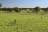 564 ORALLO ROAD, Roma, Qld 4455-Image