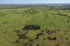 564 ORALLO ROAD, Roma, Qld 4455-Image