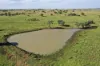 564 ORALLO ROAD, Roma, Qld 4455-Image