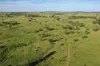 564 ORALLO ROAD, Roma, Qld 4455-Image