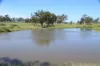 564 ORALLO ROAD, Roma, Qld 4455-Image