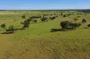 564 ORALLO ROAD, Roma, Qld 4455-Image