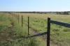 564 ORALLO ROAD, Roma, Qld 4455-Image