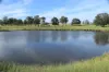 564 ORALLO ROAD, Roma, Qld 4455-Image
